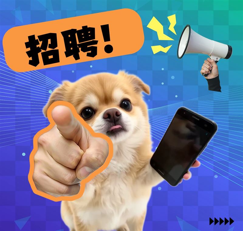 大型室内儿童游乐场诚聘